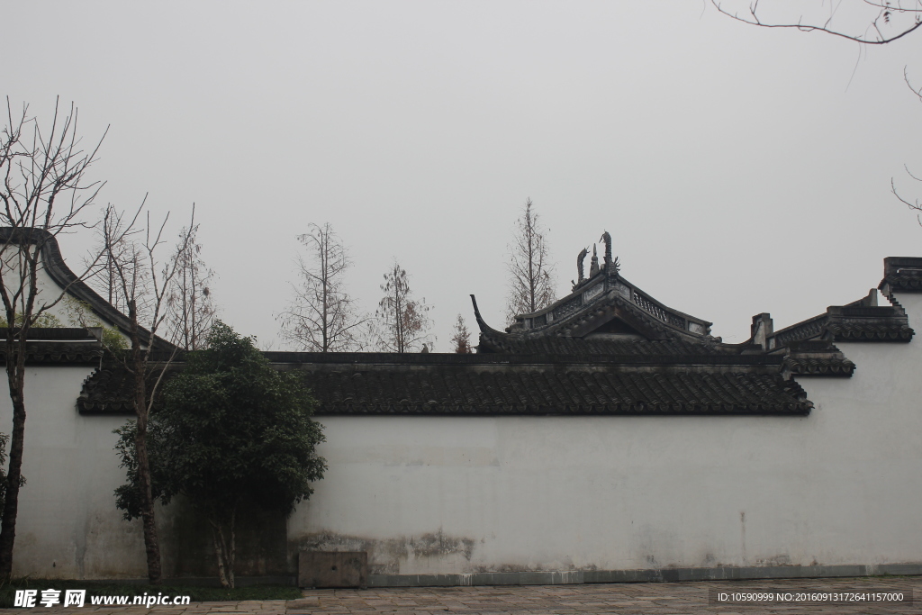 西溪濕地冬景