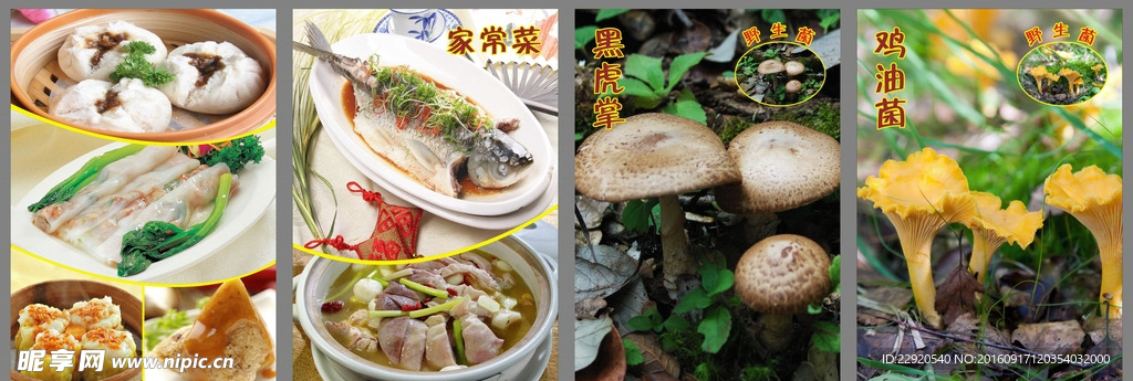 野生菌