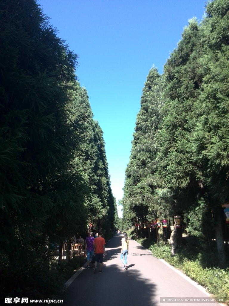 武陵山國家森林公園