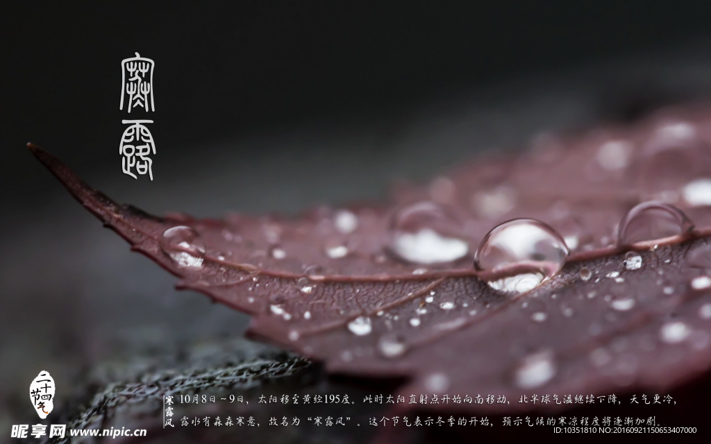 農歷寒露