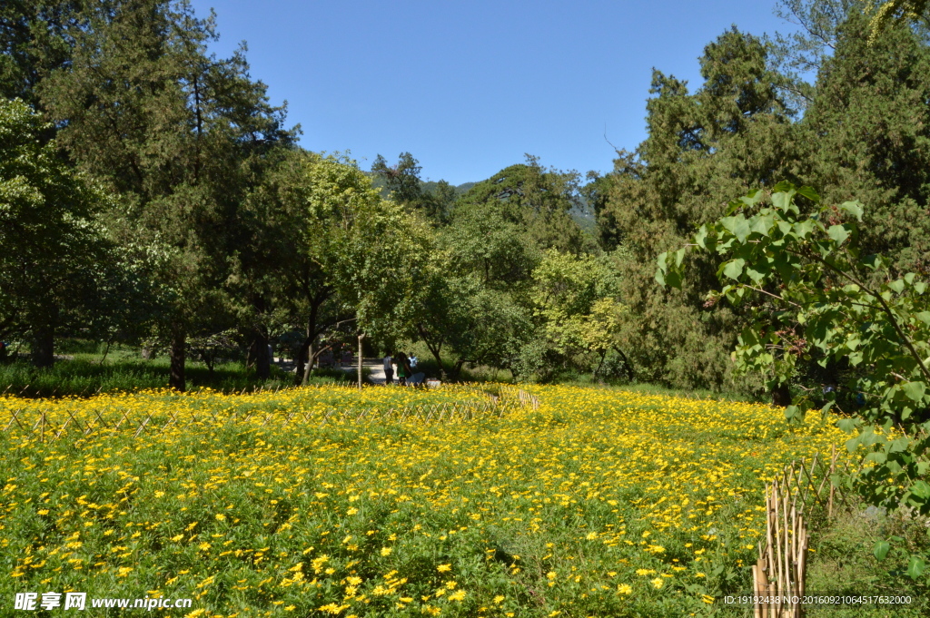 香山公園風(fēng)景