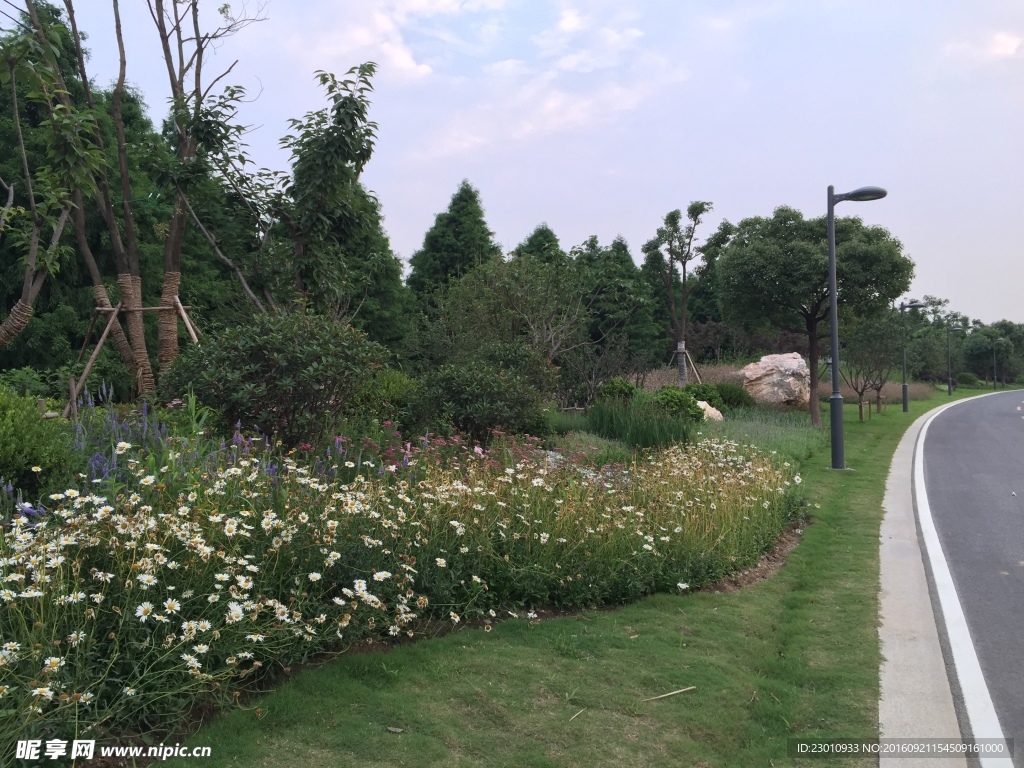 公園一角
