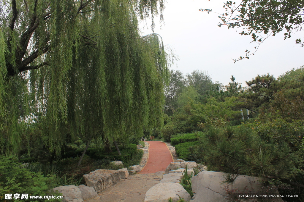 沂源兒童樂(lè)園 風(fēng)景