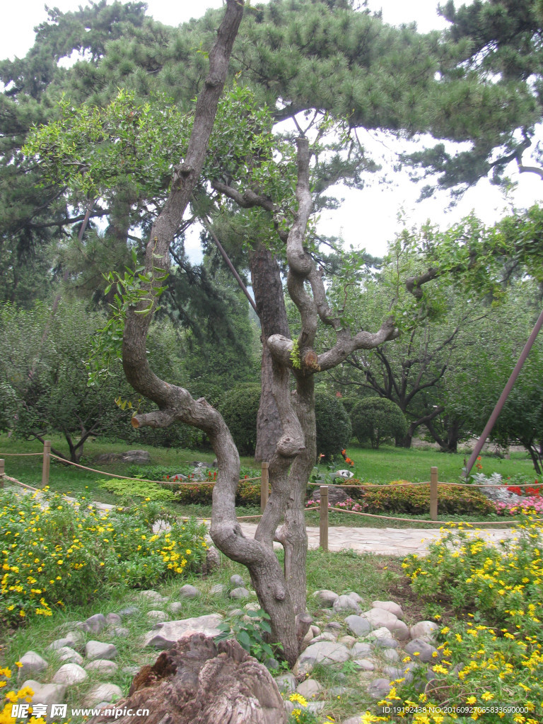 香山公園風(fēng)景