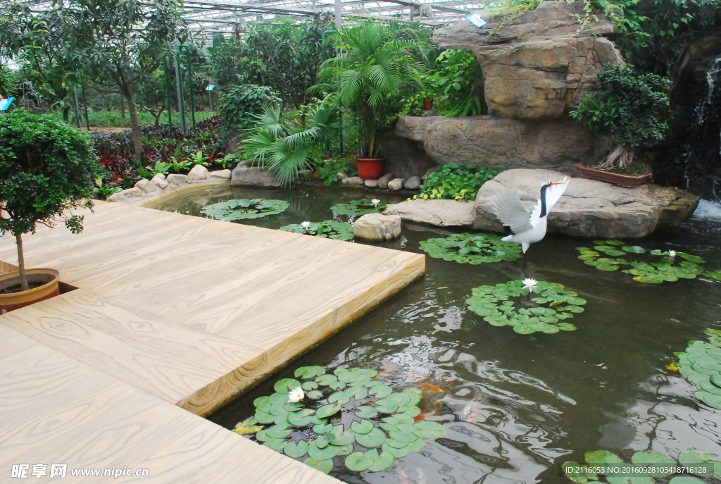 生態(tài)