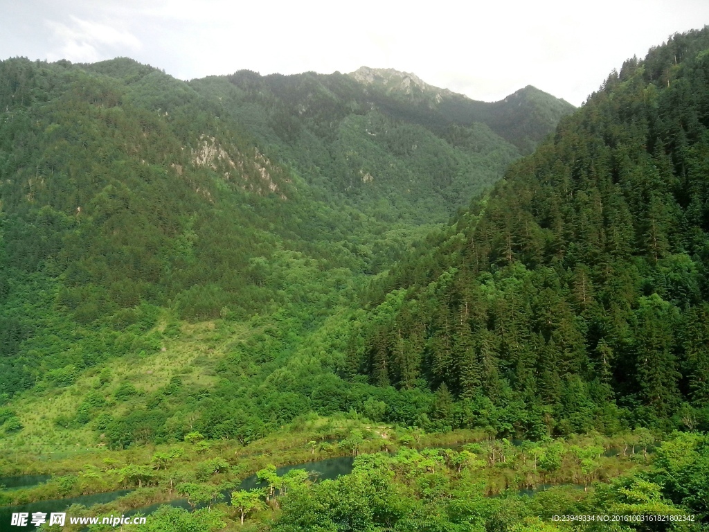 有層次的風景