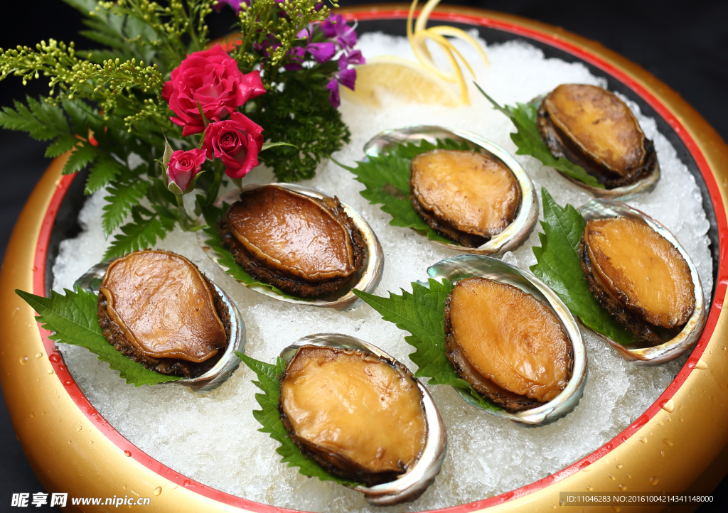 冰鎮(zhèn)八頭鮑