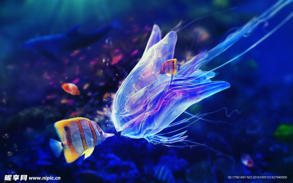 熱帶小丑魚