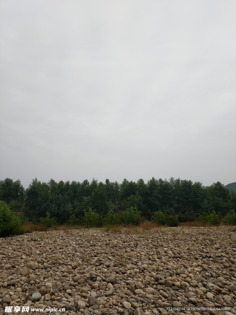 樹林與藍天