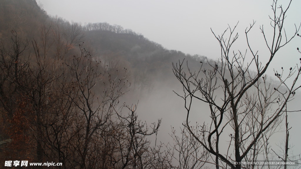 霧中云彩山