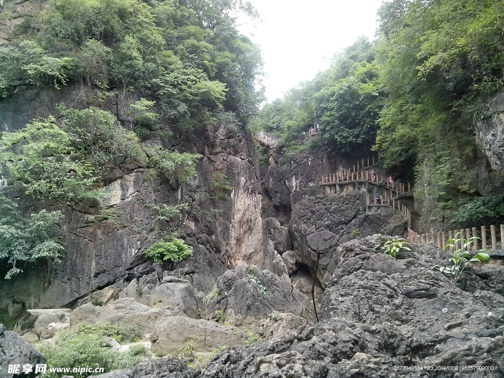 果皮洞