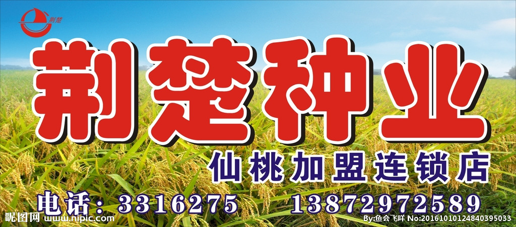 种植种业水稻门头农业