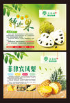 菠萝凤梨释迦果番荔枝广告海报