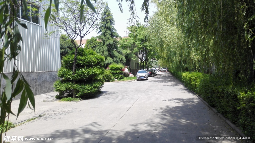 公園美景