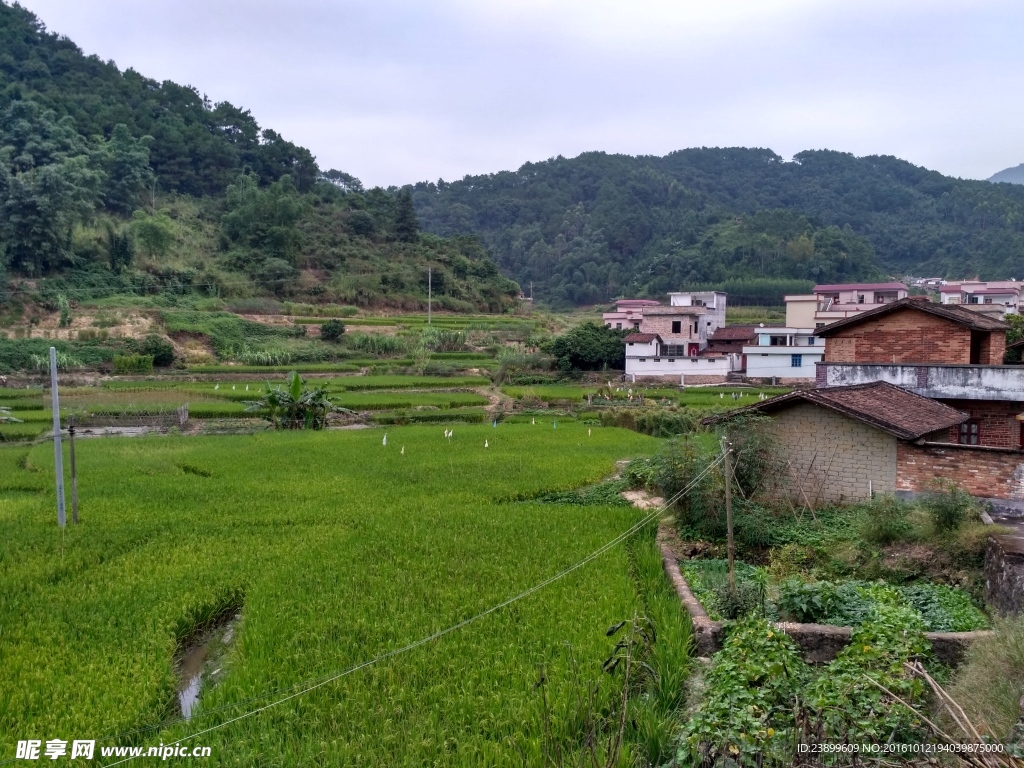 山川的田野