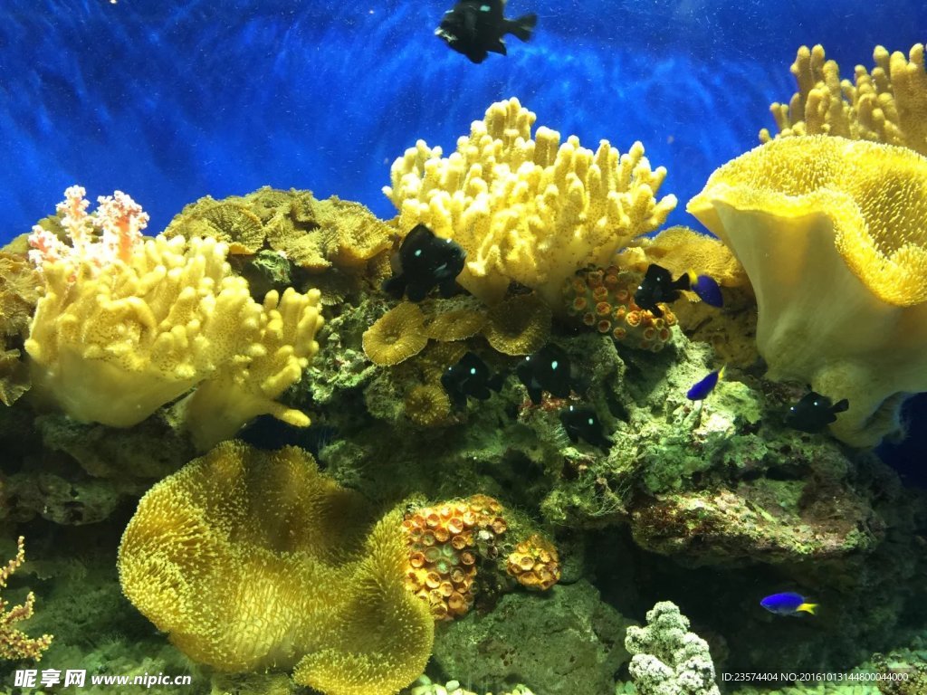 海底世界海洋館