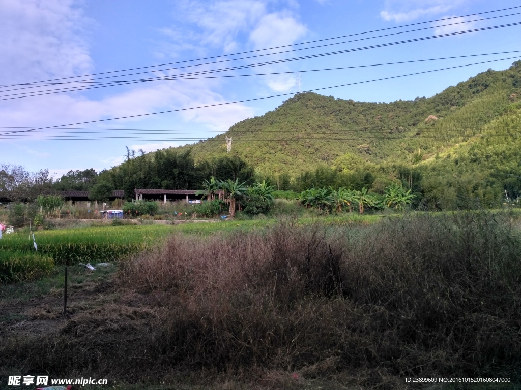 山川的田野