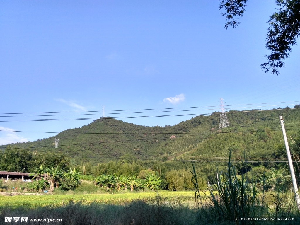 山川的田野