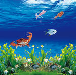 海底生物广告