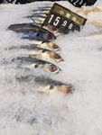 小黃魚食材
