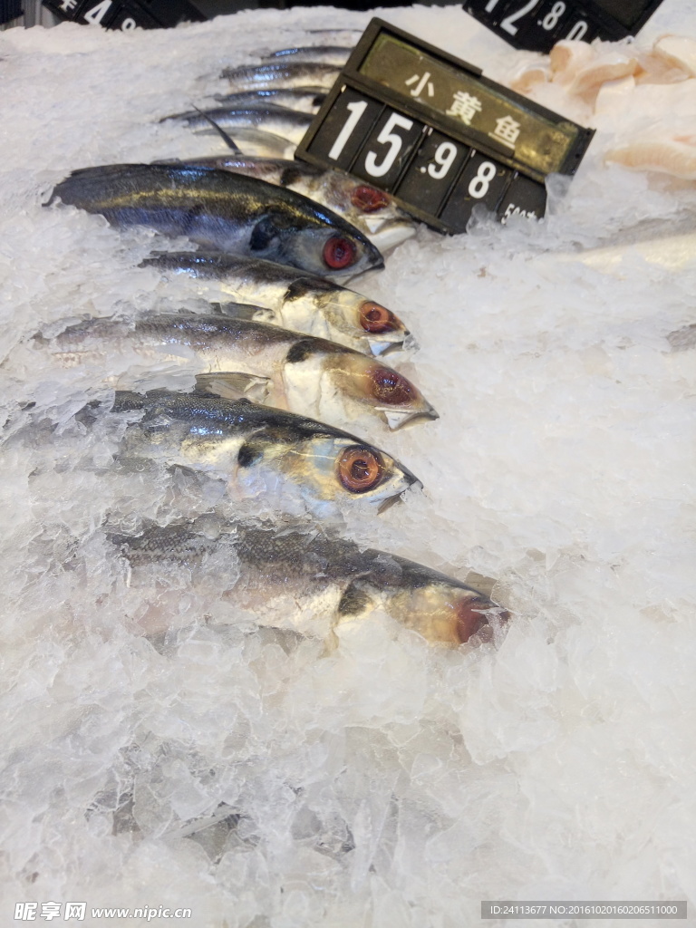 小黃魚食材