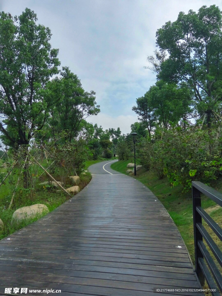 公園道路景觀