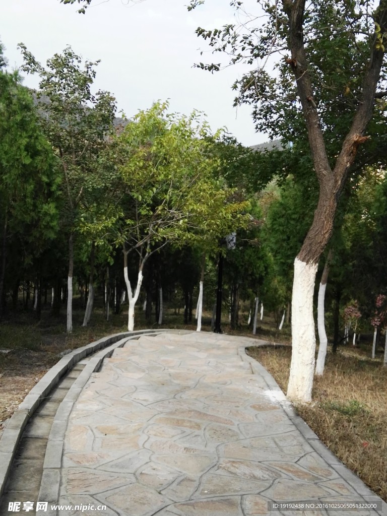 北宮秋色