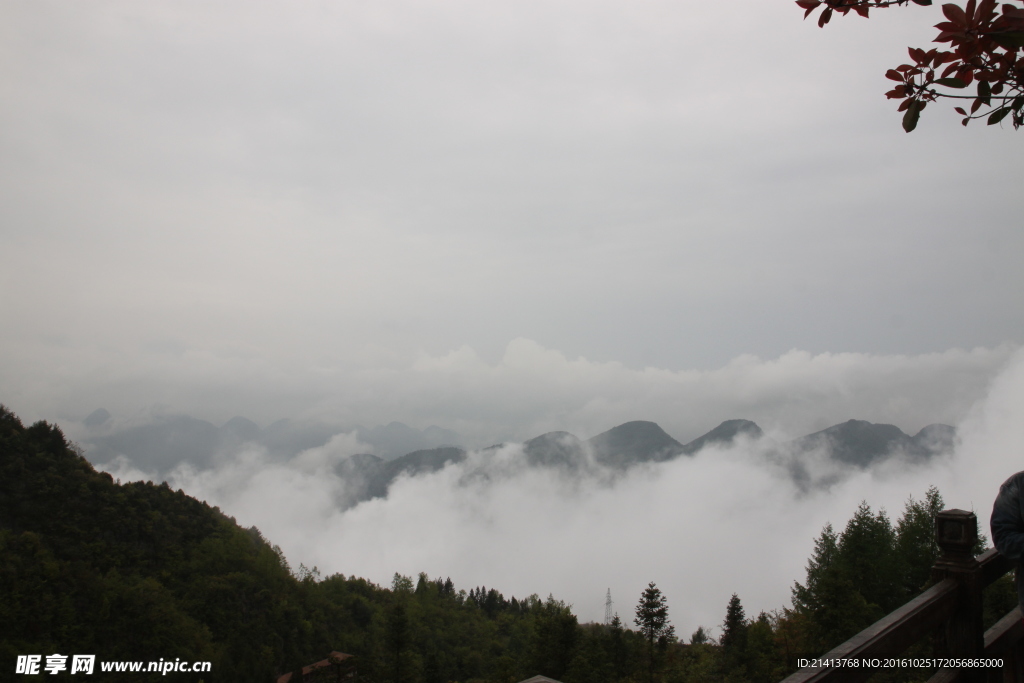 云海霧山