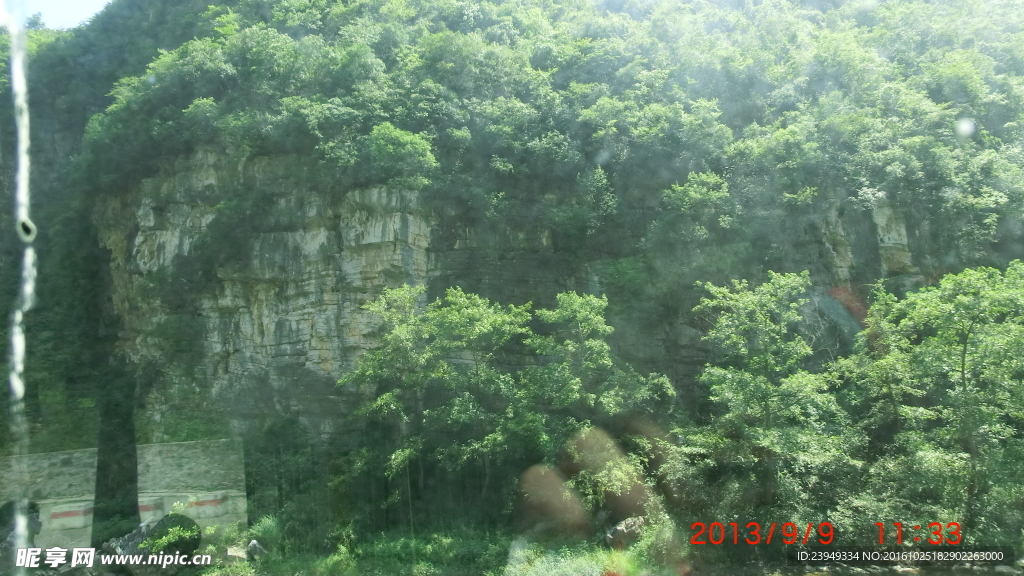 喀斯特地貌與植物