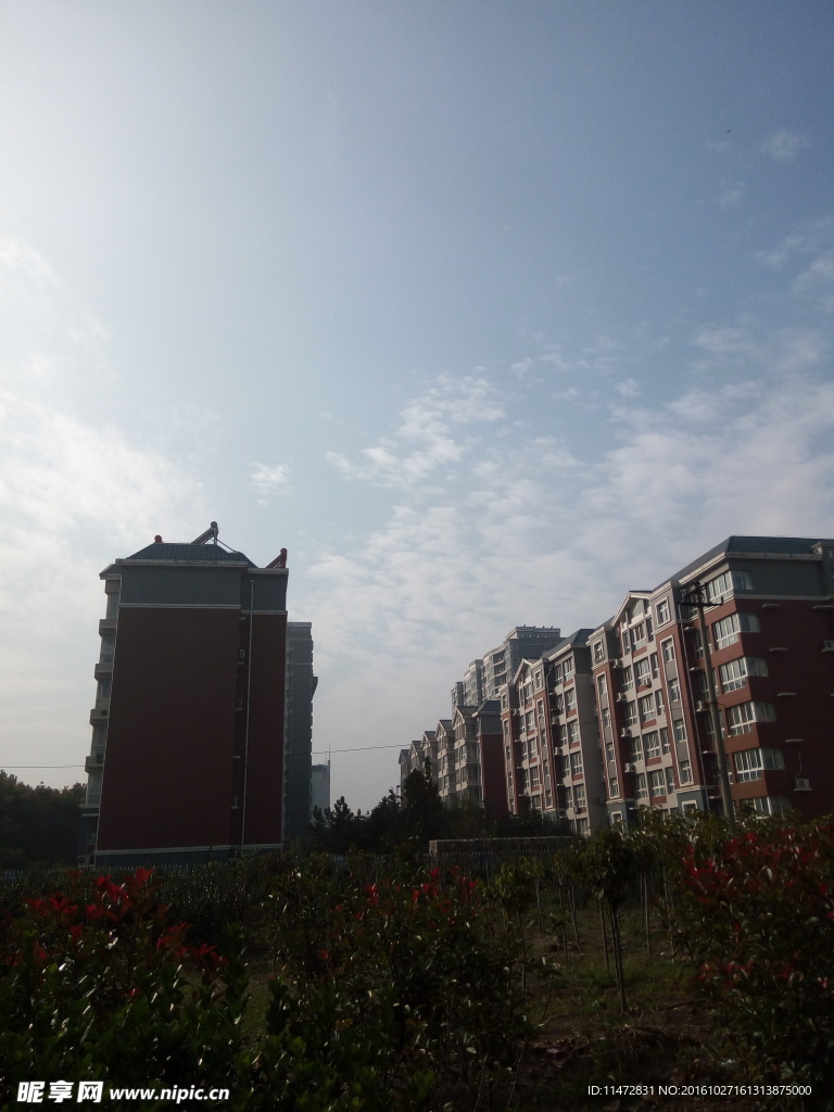小區景色 藍天