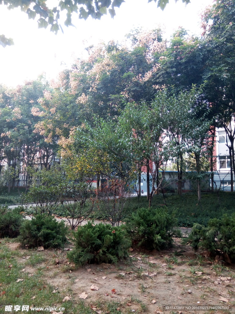 小區(qū)景色