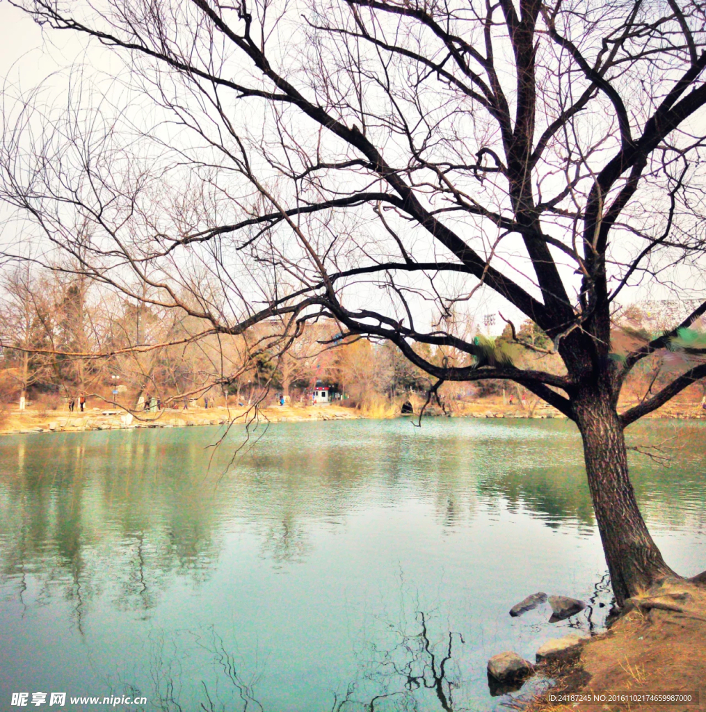 河景