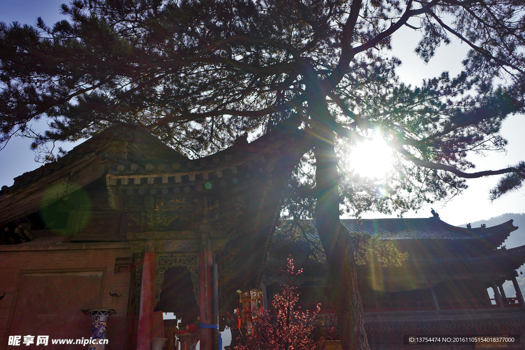 寺廟