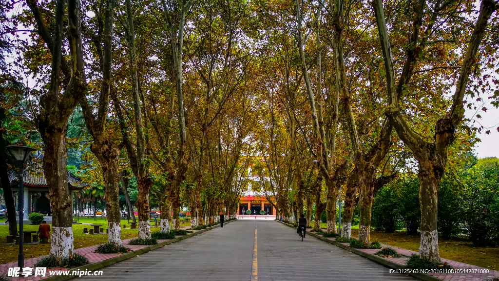 四川大學