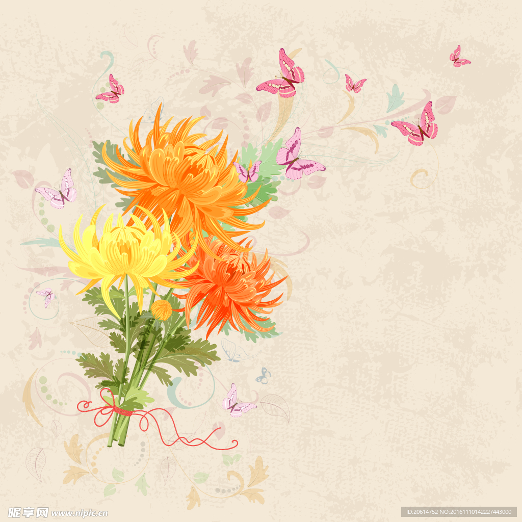 漫畫菊花