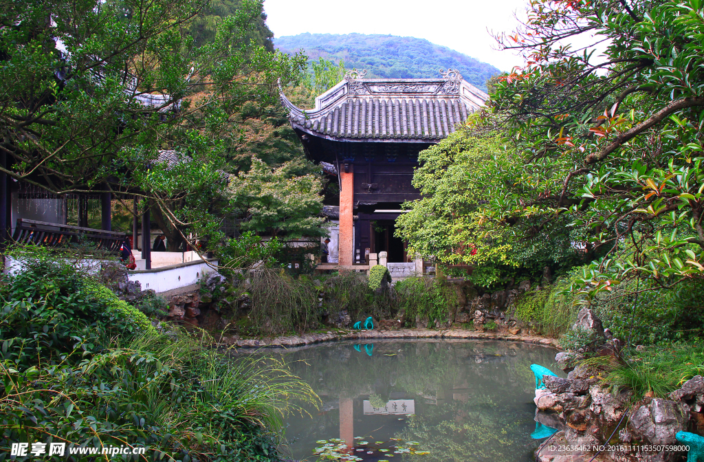 钖惠公園秋攝