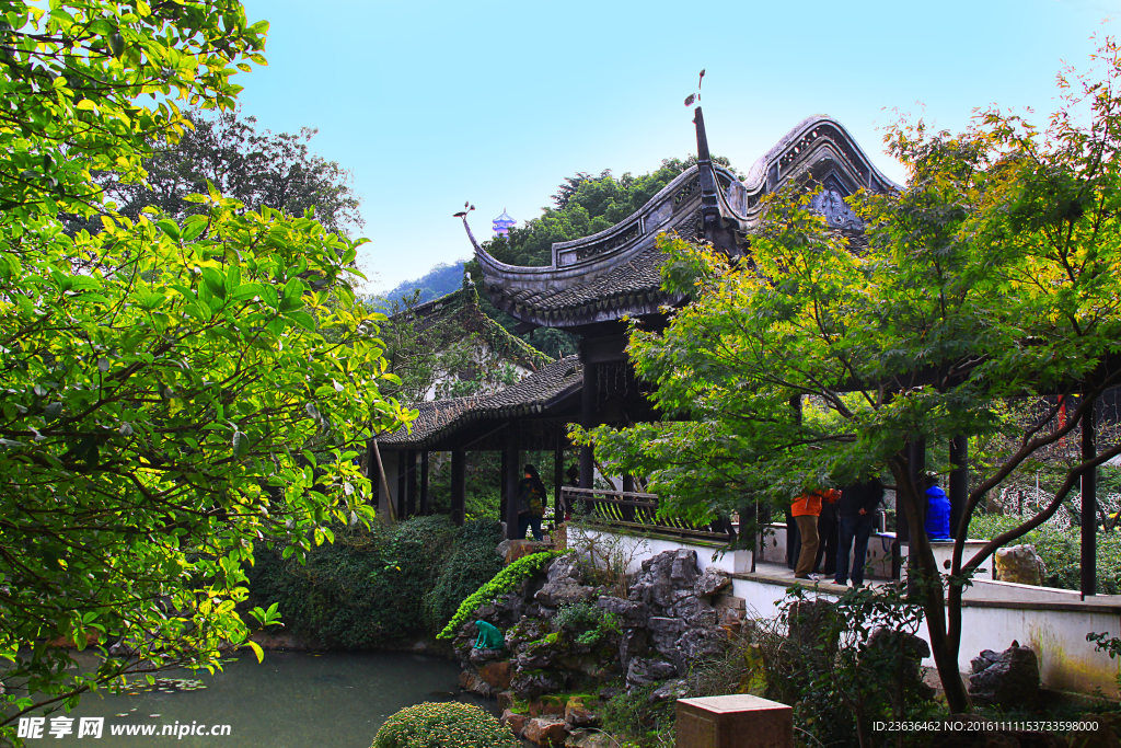 钖惠公園秋攝