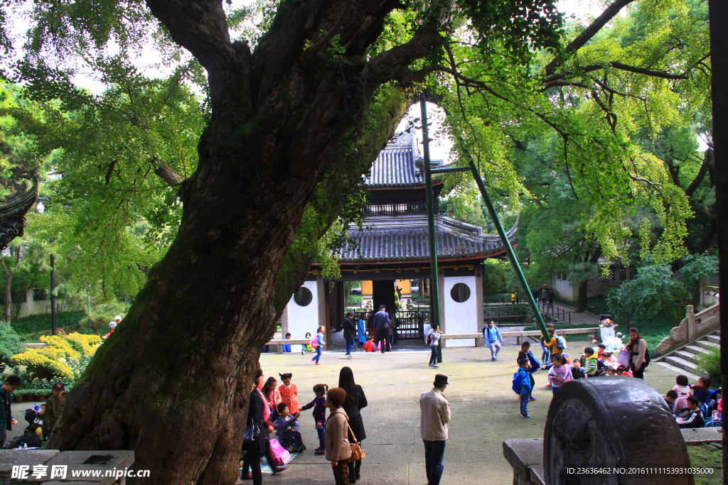 钖惠公園秋攝