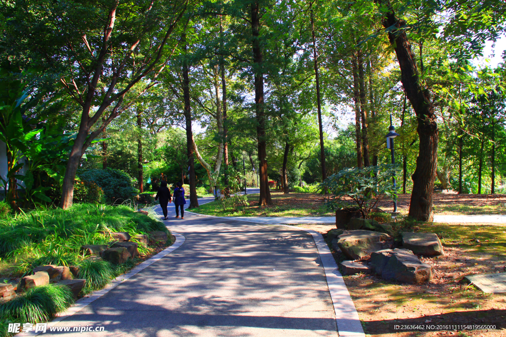 钖惠公園秋攝
