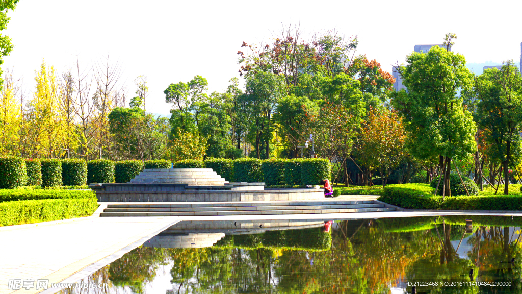 公園花壇