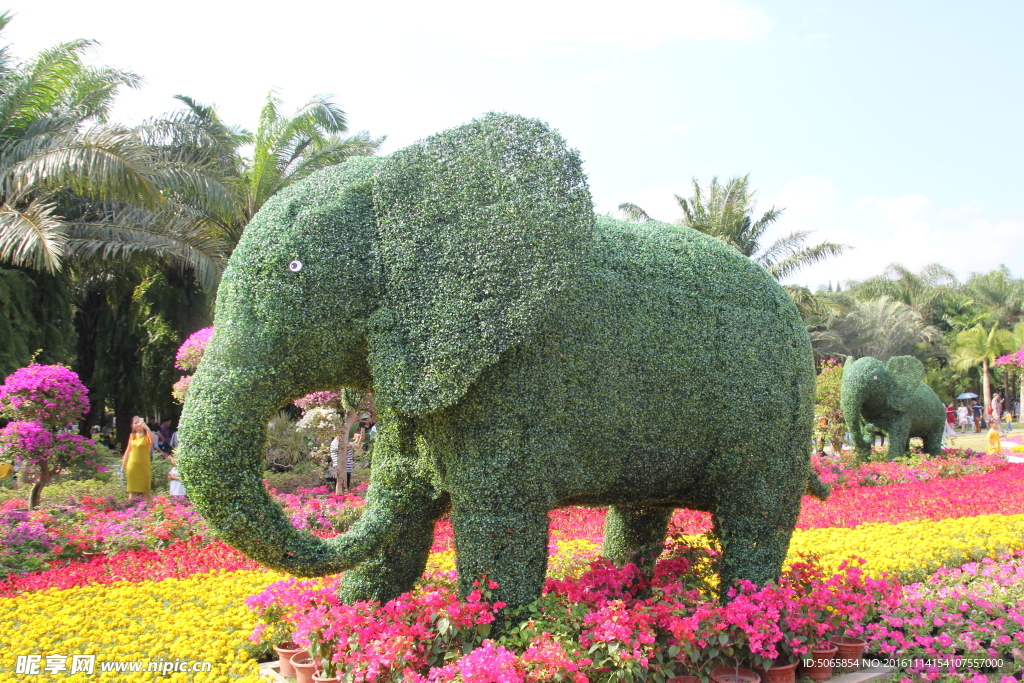 植物大象