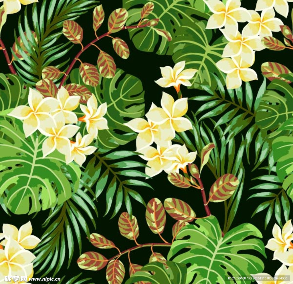 熱帶花朵