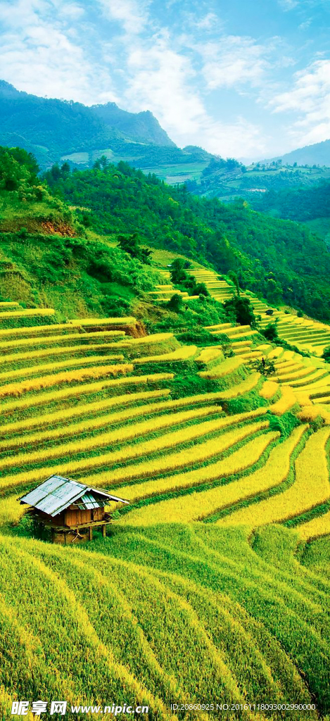 美麗的景色圖片