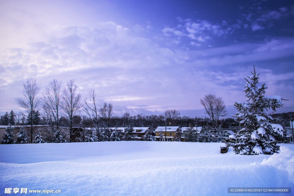 雪地