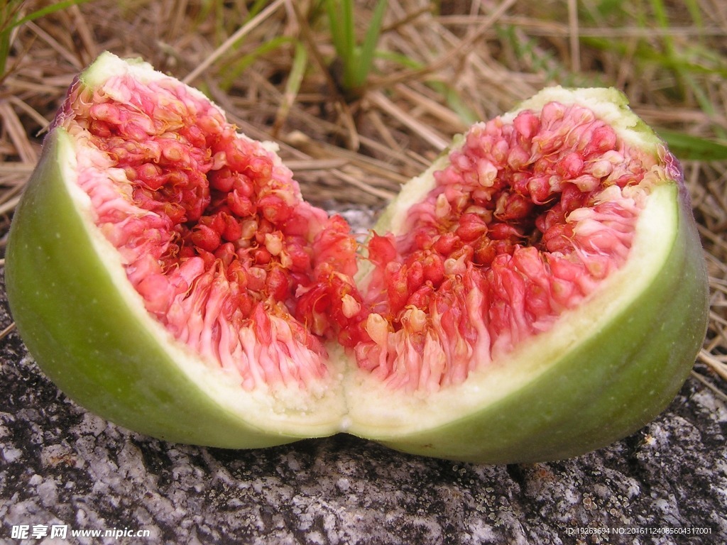 無花果圖片