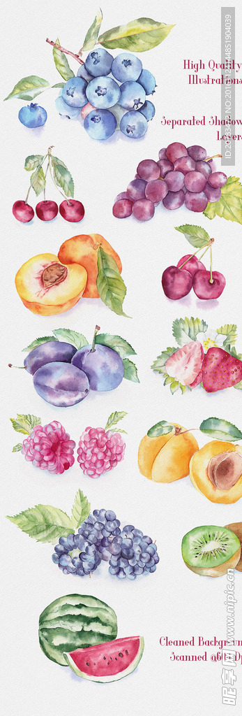 手绘水果 水彩水果 插画水果