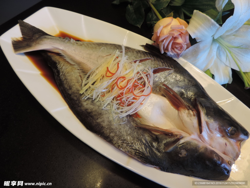海龍利魚
