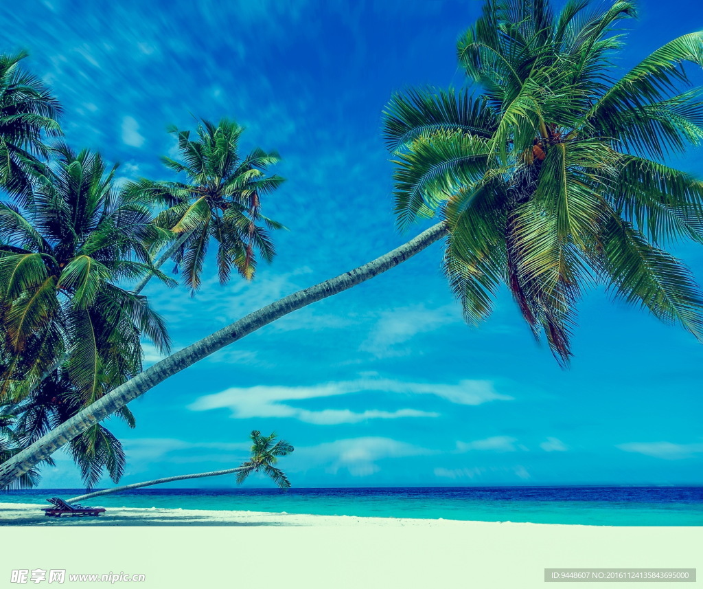 熱帶海邊風(fēng)景圖片