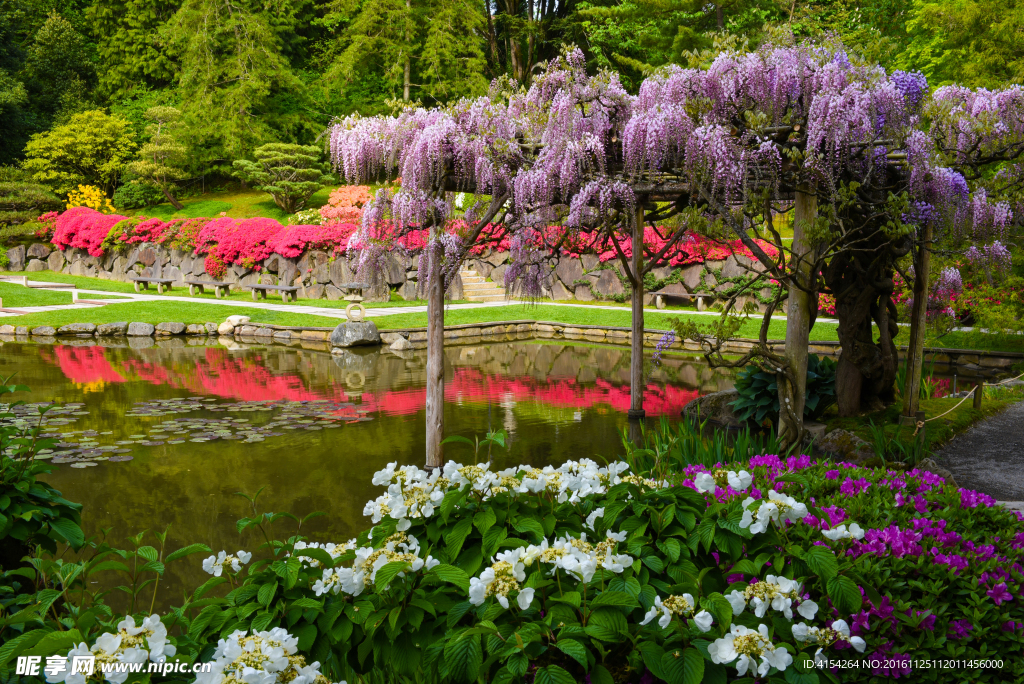 花園