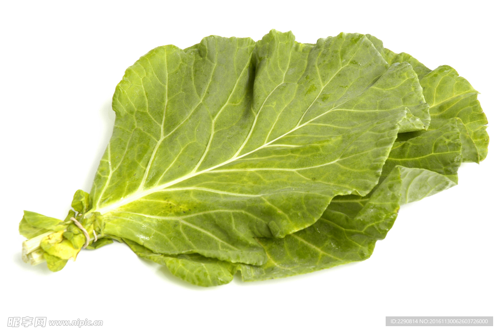 生菜葉 綠色 蔬菜 蔬果 高清
